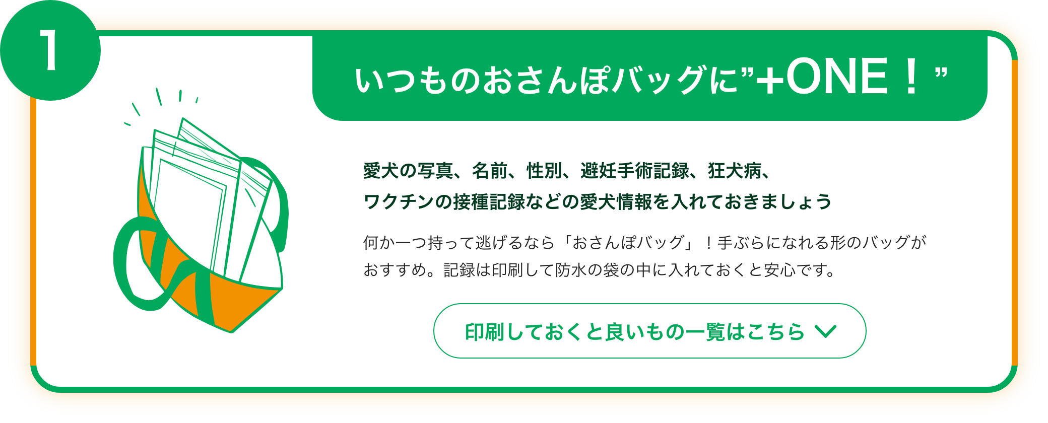 いつものおさんぽバッグにプラスワン！